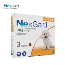 נקסגארד 2-4 3 יחידה