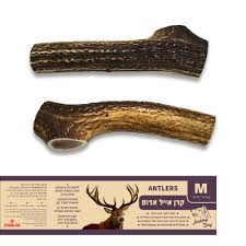 קרן אייל אדום M