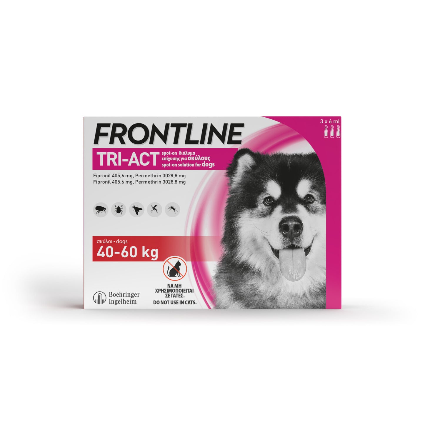 פרונטליין טרי אקט 40-60 3 יחידה