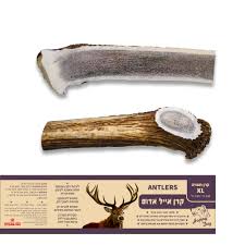 קרן אייל חצויה XL