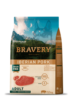 בריוורי כלב - חזיר בוגר 12 קילוגרם