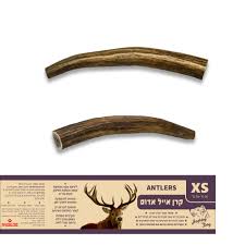 קרן אייל אדום XS