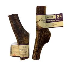 קרן אייל אדום XL