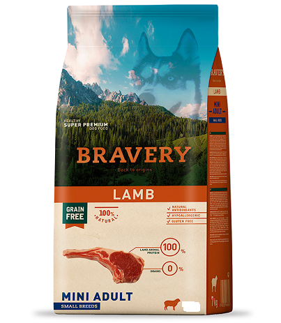 בריוורי כלב - כבש מיני בוגר 2 קילוגרם