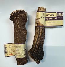 קרן אייל אדום JUMBO