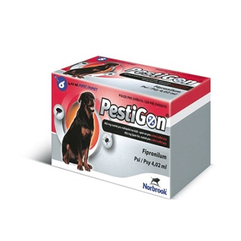 פסטיגון כלב ענק 40-60 קילו 6 יחידה