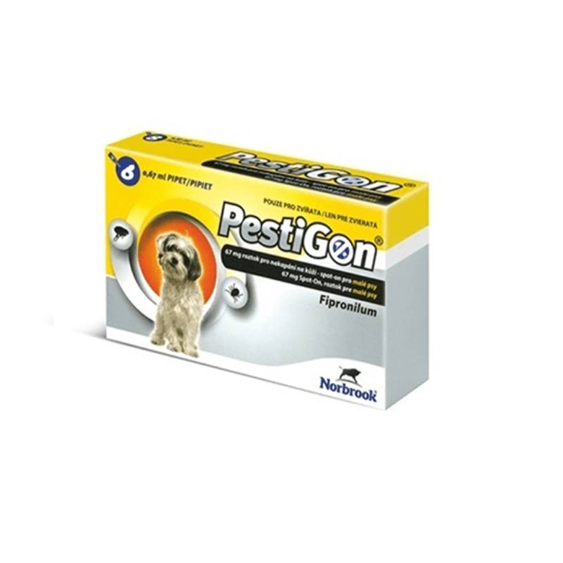 פסטיגון כלב קטן 2-10 קילו 6 יחידה