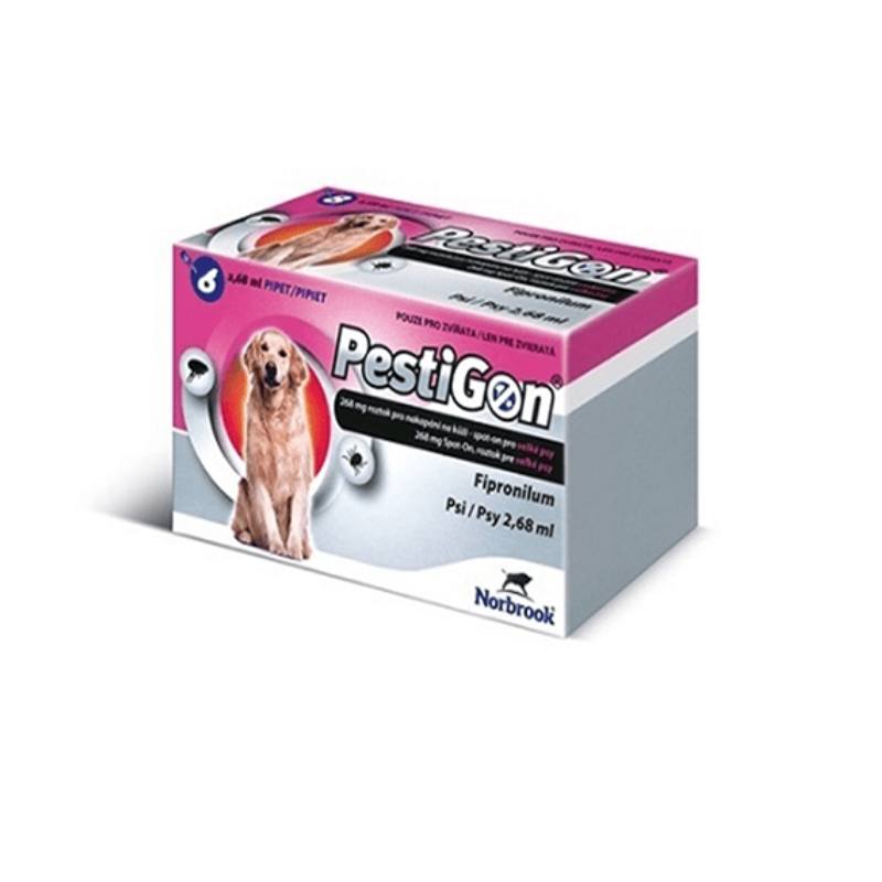 פסטיגון כלב גדול 20-40 קילו 6 יחידה