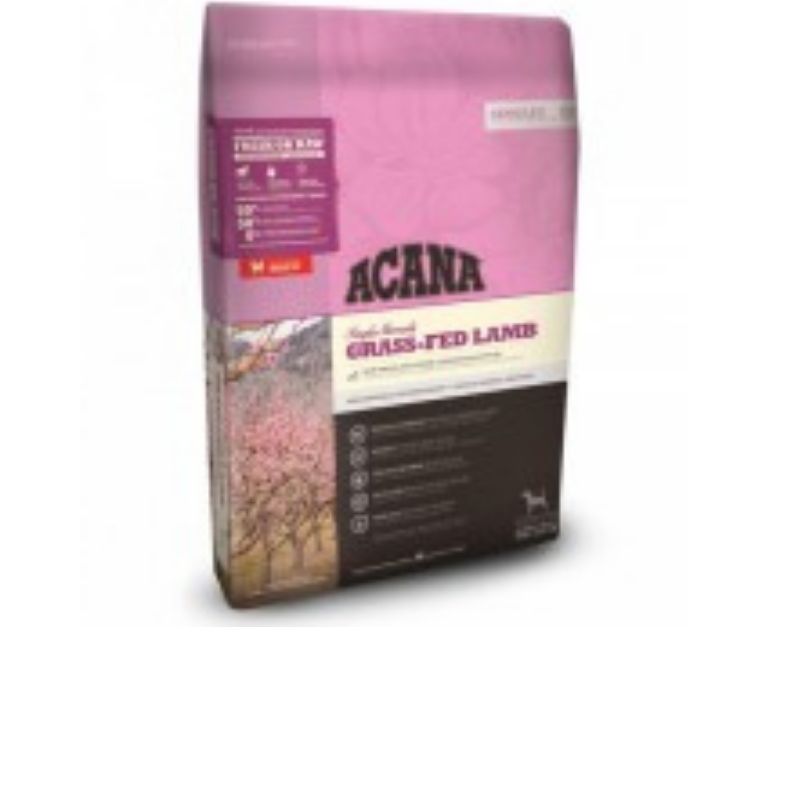 אקנה כלב סינגל כבש 17 קילוגרם