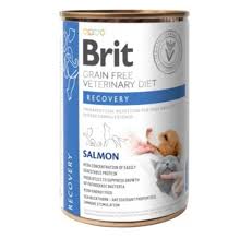 שימורי בריט רפואי לכלב - ריקברי 400 גרם בקופסה