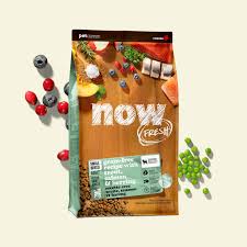 נאו בוגר גזע קטן דגים 10 קילוגרם