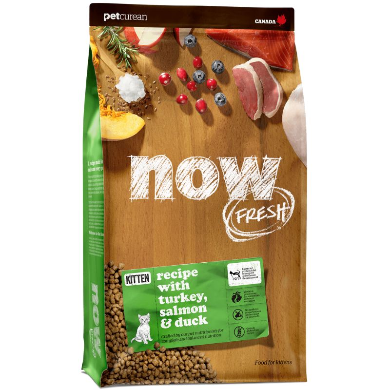 נאו חתלתולים 3.7 קילוגרם