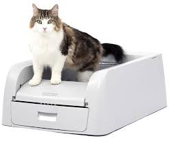 שירותים אוטומטי פתוח - פט סייף