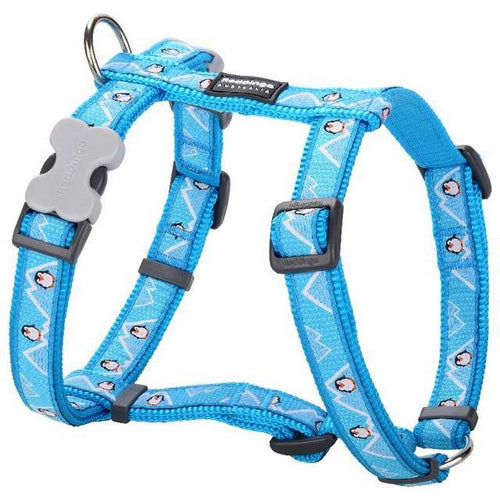 רתמה לכלב XS טורקיז פינגווין 1 יחידה