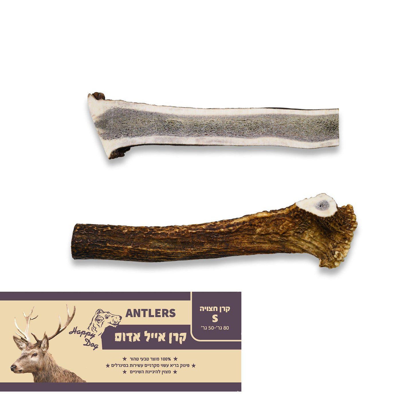 קרן אייל חצויה S