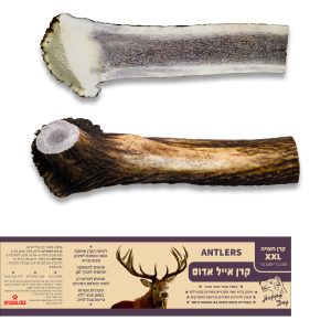 קרן אייל חצויה XXL