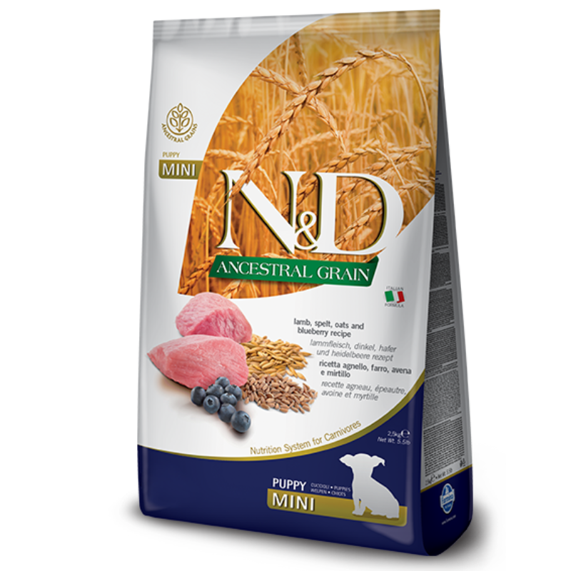 ND כלב - אנסס כבש אוכמניות גור מיני 2.5 קילוגרם