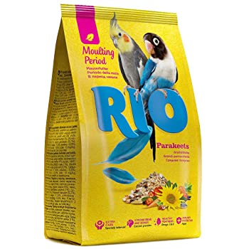 ריו קוקטייל
