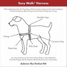 פטסייף easy walk רתמת גוף L אדום 1 יחידה