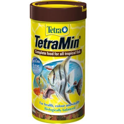 טטרה טטרהמין 20 גרם בקופסה